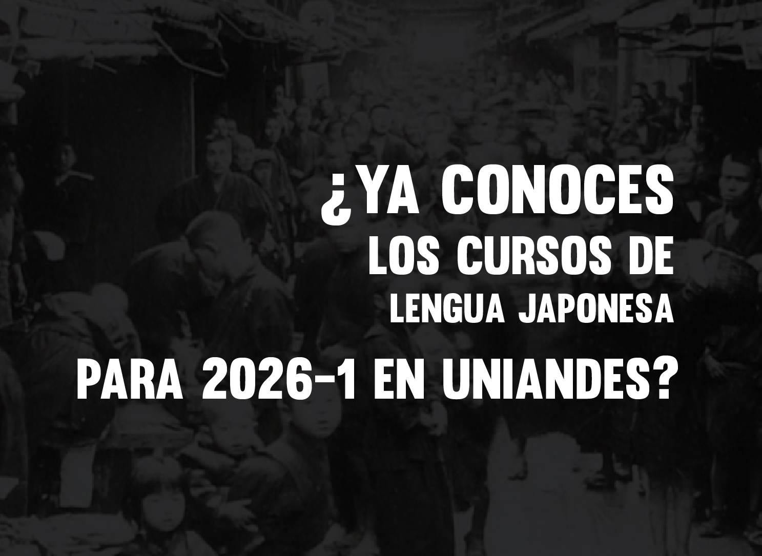 2026-1_Cursos