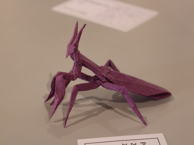 Exposición de origami. 