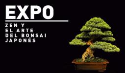 Evento el arte del bonsái Japonés